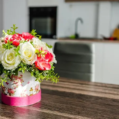 Διαμέρισμα Forever Sunrise Mamaia Nord