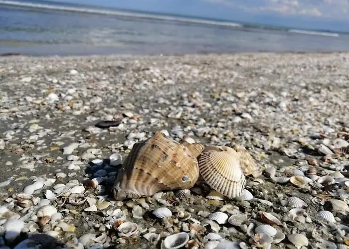 Apartament Forever Sunrise Mamaia Nord Năvodari